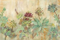 Succulent Garden Fine Art Print