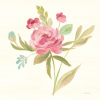 Petals and Blossoms V Framed Print