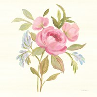 Petals and Blossoms IV Framed Print