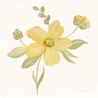 June Bloom II Fine Art Print