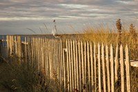 Along the Fence I Fine Art Print