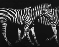 Op Art Fine Art Print