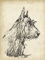 Breed Studies I Fine Art Print