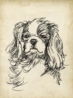 Breed Studies II Fine Art Print