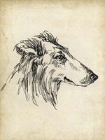 Breed Studies XII Fine Art Print