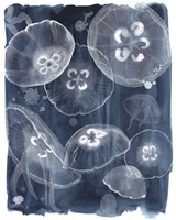 Moon Jellies II Fine Art Print