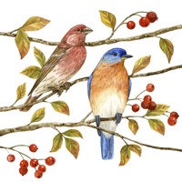 Birds & Berries IV Fine Art Print