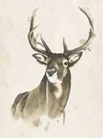 Watchful Woods I Framed Print