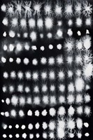 Electrified I Framed Print