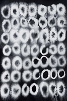 Electrified III Framed Print