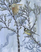 Coexist I Framed Print