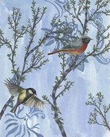 Coexist II Framed Print