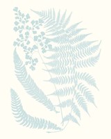 Serene Ferns II Framed Print
