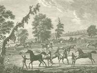 Equestrian Scenes III Fine Art Print