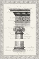 Column Overlay II Fine Art Print