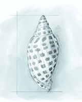 Coastal Shell Schematic IV Fine Art Print
