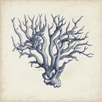 Coral Trio in Indigo I Framed Print