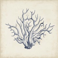 Coral Trio in Indigo II Framed Print