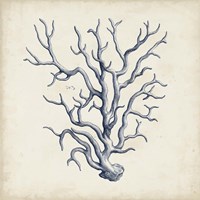 Coral Trio in Indigo III Framed Print