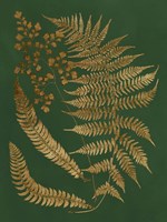 Gilded Ferns I Fine Art Print