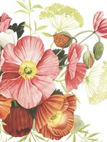 Blossom Solstice I Framed Print