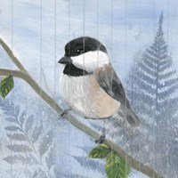 Eastern Songbird II Fine Art Print