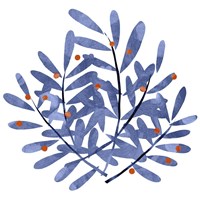 Botanical Impressions II Fine Art Print