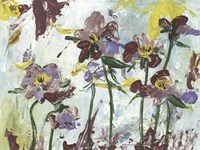 L'orchidee I Fine Art Print