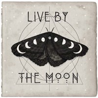 Live by the Moon I Fine Art Print