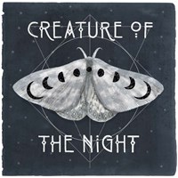 Live by the Moon II Fine Art Print