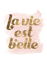 La Vie in Pink III Fine Art Print