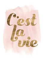 La Vie in Pink IV Framed Print