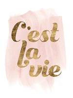 La Vie in Pink IV Fine Art Print