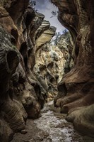 Slot Canyon Utah 6 Fine Art Print