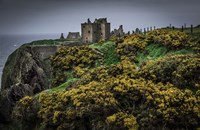 Medieval Ruins 4 Fine Art Print