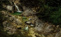 Almbachklamm 2 Fine Art Print