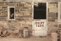 Dairy Farm Fine Art Print