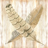 Feathers Crossed I Framed Print