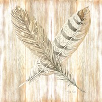 Feathers Crossed II Fine Art Print