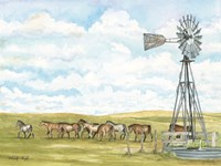 Pasture Horses Fine Art Print