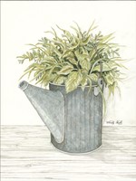 Galvanized Watering Can Fine Art Print