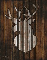 Deer Head II Framed Print