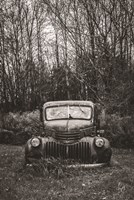 Bumper in Weeds Fine Art Print