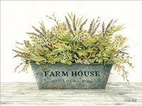 Farmhouse Fine Art Print