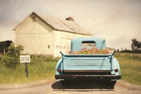 Flowers for Sale Fine Art Print