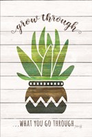 Grow Through What You Go Through Fine Art Print