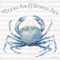 Nautical Life X Framed Print