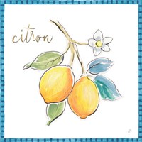 Mediterranean Breeze XIII Framed Print