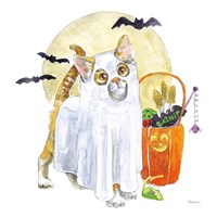 Halloween Pets V Framed Print