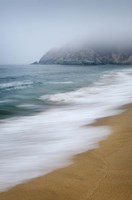 Gray Whale Cove Fine Art Print